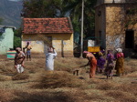 Campagne près de Madurai. Tamil Nadu
